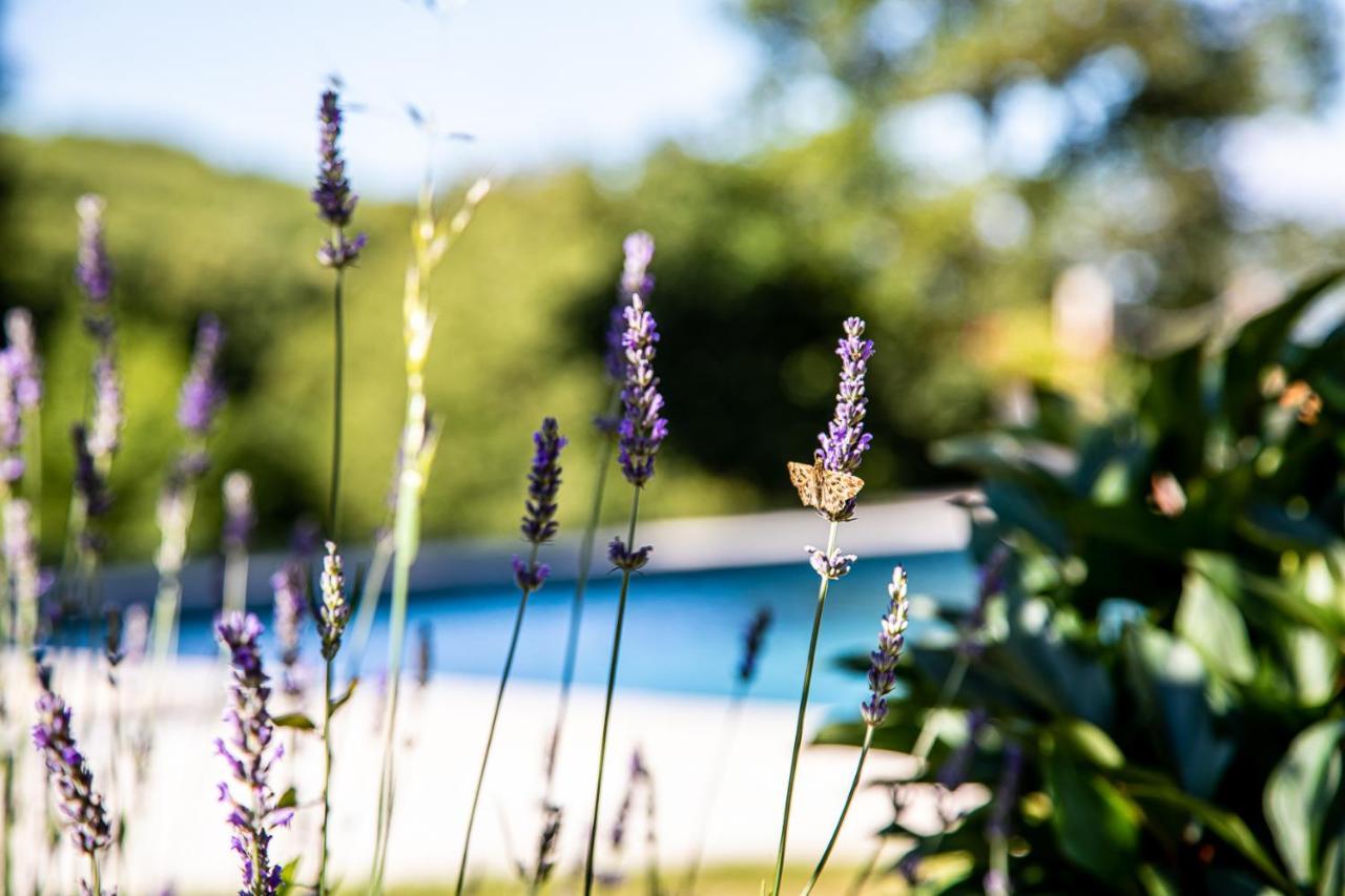 Bed and Breakfast Le Mas des Roches proche Puy du Fou Saint-Paul-en-Pareds Exterior foto