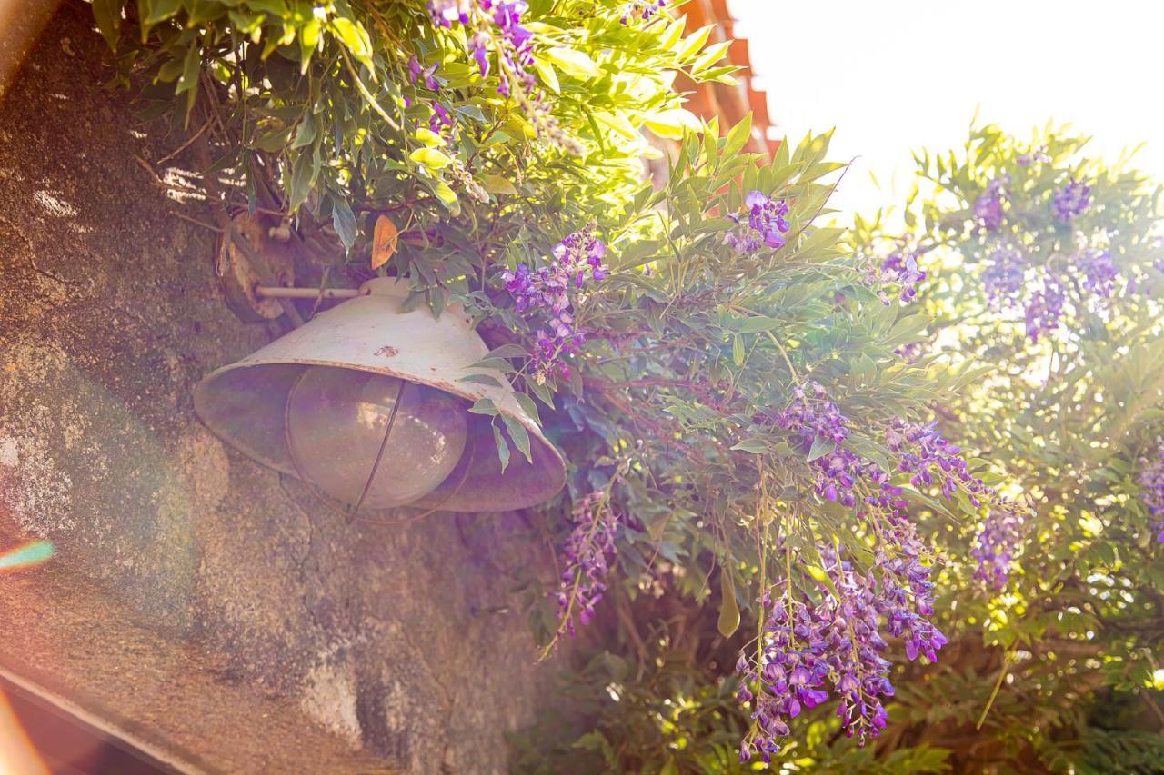 Bed and Breakfast Le Mas des Roches proche Puy du Fou Saint-Paul-en-Pareds Exterior foto